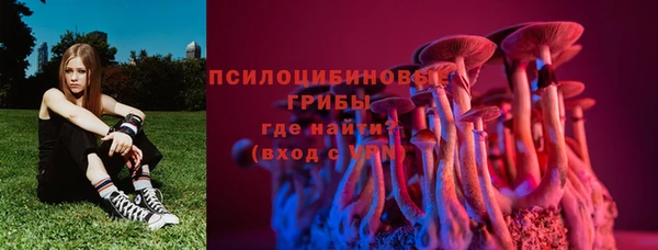 mix Бородино