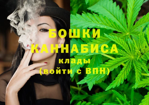 mdpv Бронницы