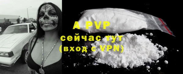 mix Бородино