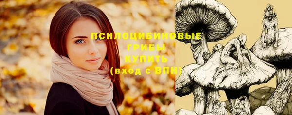 apvp Бугульма