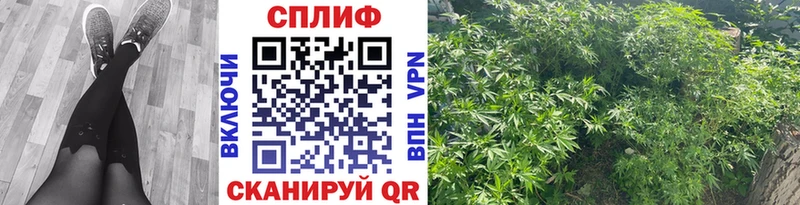 Купить где  Бирюсинск  Бошки марихуана LSD WEED 